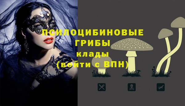спайс Алексеевка