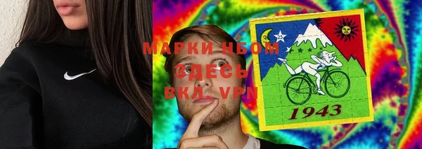 винт Алзамай